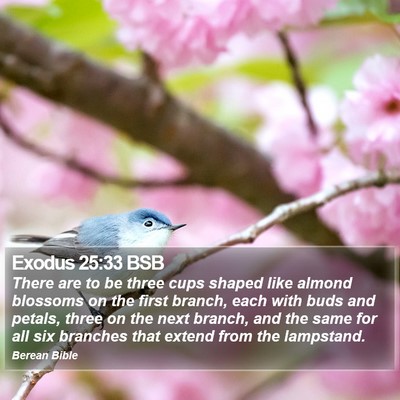 Exodus 25:33 BSB Bible Verse Image