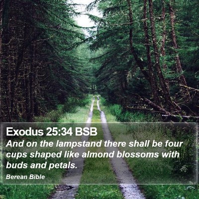 Exodus 25:34 BSB Bible Verse Image