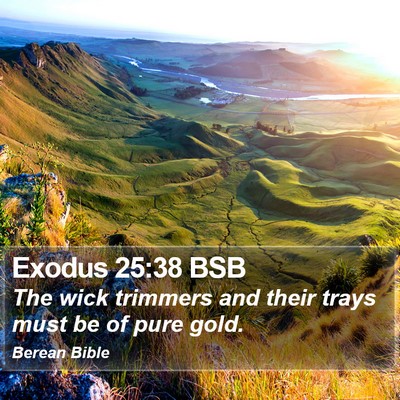 Exodus 25:38 BSB Bible Verse Image
