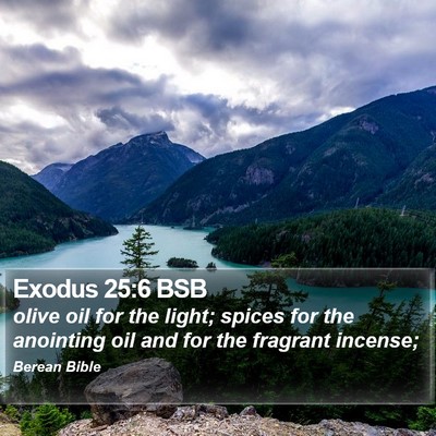 Exodus 25:6 BSB Bible Verse Image