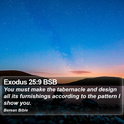 Exodus 25:9 BSB Bible Verse Image
