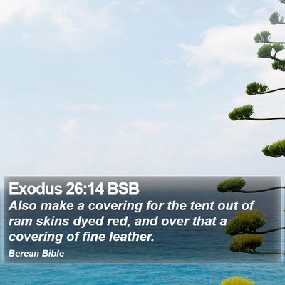 Exodus 26:14 BSB Bible Verse Image