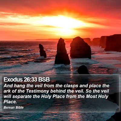 Exodus 26:33 BSB Bible Verse Image