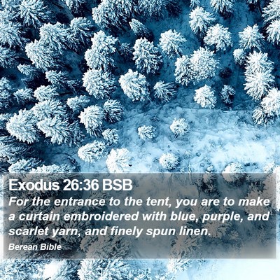 Exodus 26:36 BSB Bible Verse Image