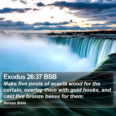 Exodus 26:37 BSB Bible Verse Image