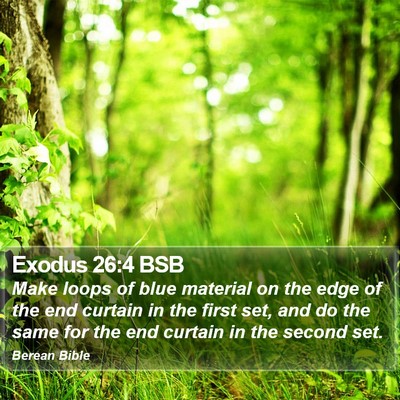 Exodus 26:4 BSB Bible Verse Image