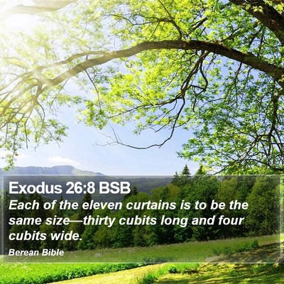 Exodus 26:8 BSB Bible Verse Image