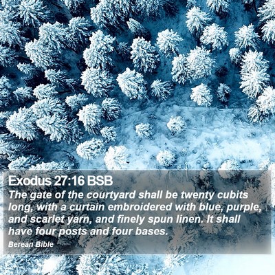 Exodus 27:16 BSB Bible Verse Image