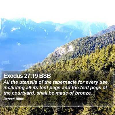 Exodus 27:19 BSB Bible Verse Image