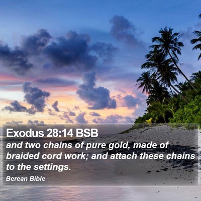 Exodus 28:14 BSB Bible Verse Image