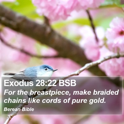 Exodus 28:22 BSB Bible Verse Image