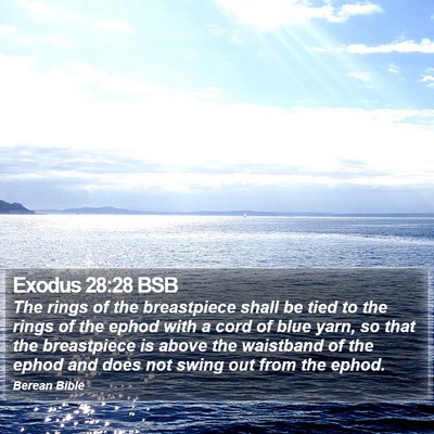 Exodus 28:28 BSB Bible Verse Image