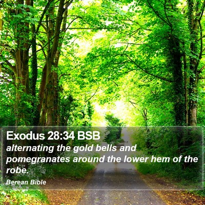 Exodus 28:34 BSB Bible Verse Image