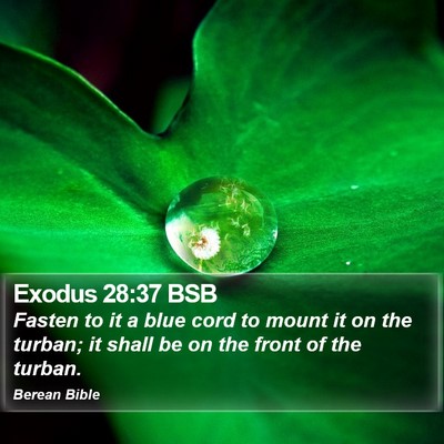 Exodus 28:37 BSB Bible Verse Image