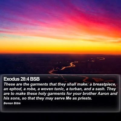 Exodus 28:4 BSB Bible Verse Image