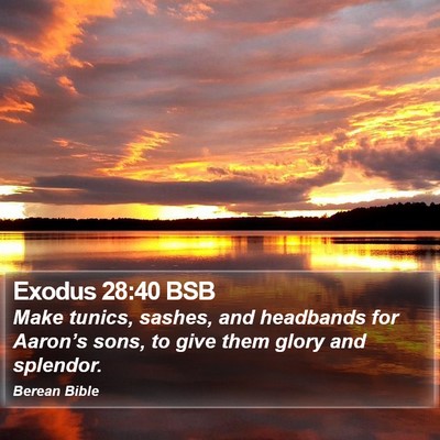 Exodus 28:40 BSB Bible Verse Image