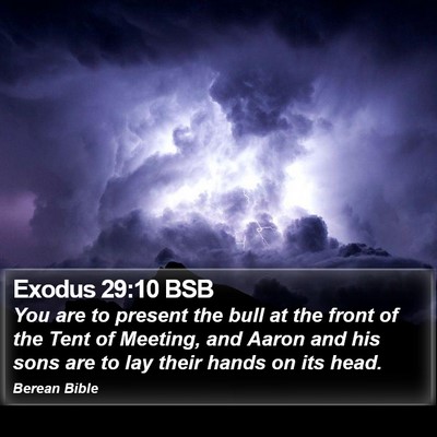 Exodus 29:10 BSB Bible Verse Image