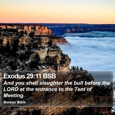 Exodus 29:11 BSB Bible Verse Image