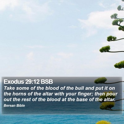 Exodus 29:12 BSB Bible Verse Image