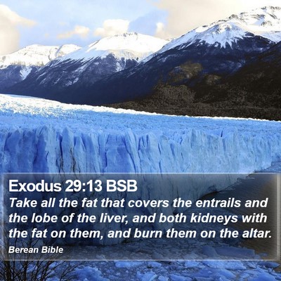 Exodus 29:13 BSB Bible Verse Image