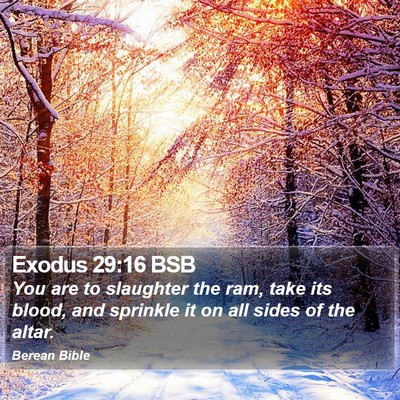 Exodus 29:16 BSB Bible Verse Image