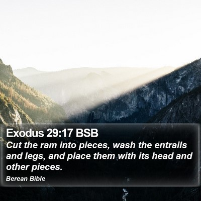 Exodus 29:17 BSB Bible Verse Image