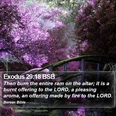 Exodus 29:18 BSB Bible Verse Image