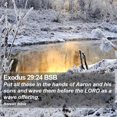 Exodus 29:24 BSB Bible Verse Image