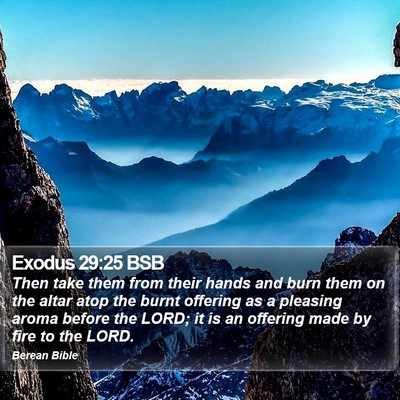 Exodus 29:25 BSB Bible Verse Image