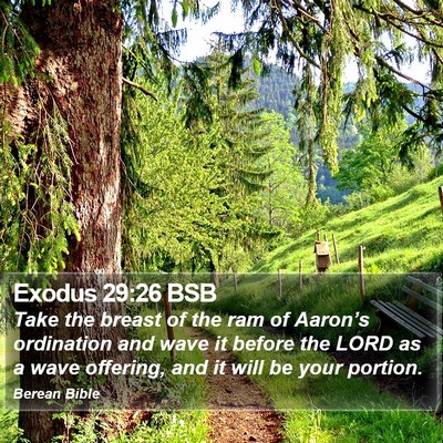 Exodus 29:26 BSB Bible Verse Image