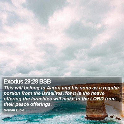 Exodus 29:28 BSB Bible Verse Image