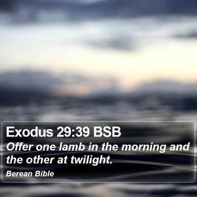 Exodus 29:39 BSB Bible Verse Image