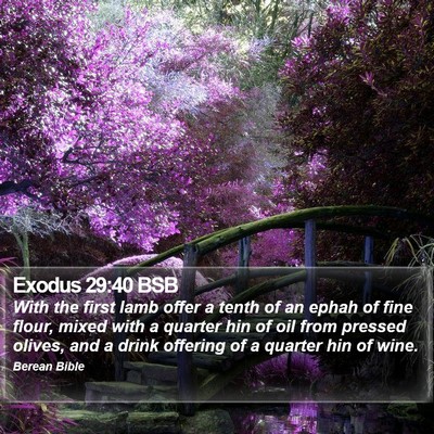 Exodus 29:40 BSB Bible Verse Image