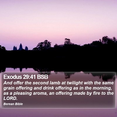 Exodus 29:41 BSB Bible Verse Image