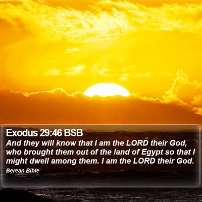 Exodus 29:46 BSB Bible Verse Image