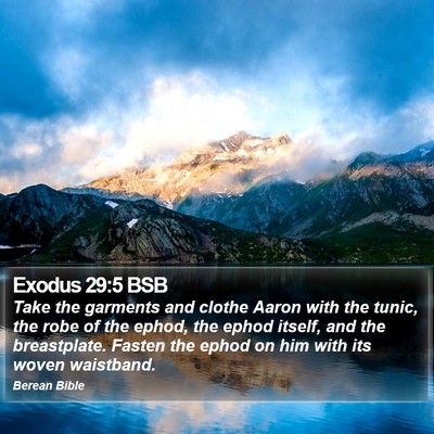 Exodus 29:5 BSB Bible Verse Image