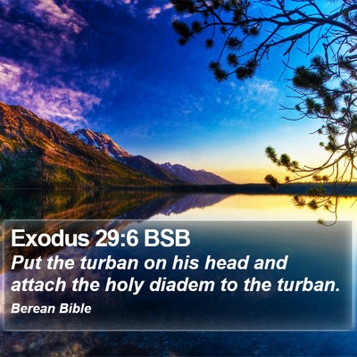 Exodus 29:6 BSB Bible Verse Image