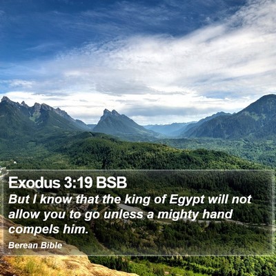 Exodus 3:19 BSB Bible Verse Image
