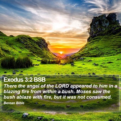 Exodus 3:2 BSB Bible Verse Image