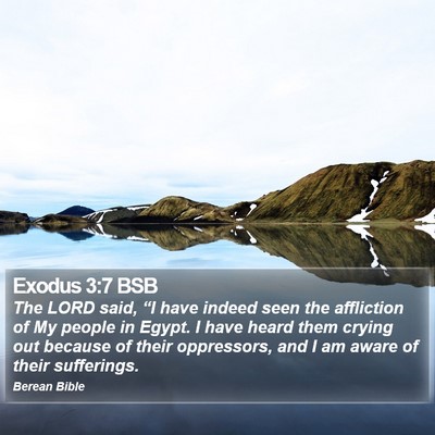 Exodus 3:7 BSB Bible Verse Image