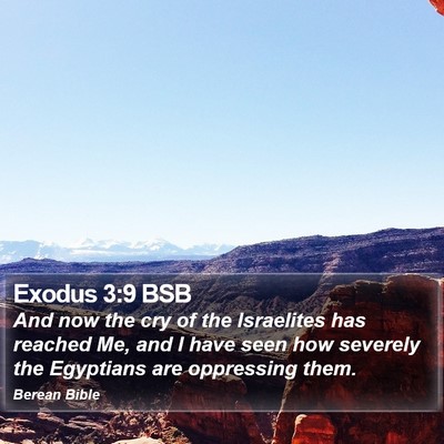 Exodus 3:9 BSB Bible Verse Image