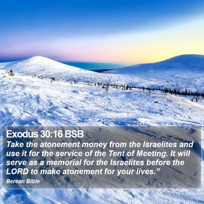 Exodus 30:16 BSB Bible Verse Image