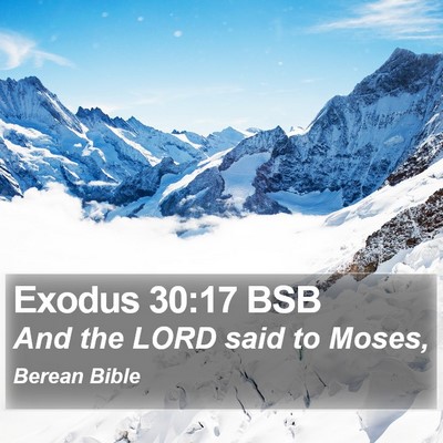Exodus 30:17 BSB Bible Verse Image