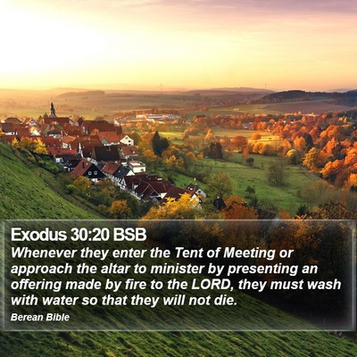 Exodus 30:20 BSB Bible Verse Image