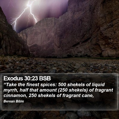 Exodus 30:23 BSB Bible Verse Image
