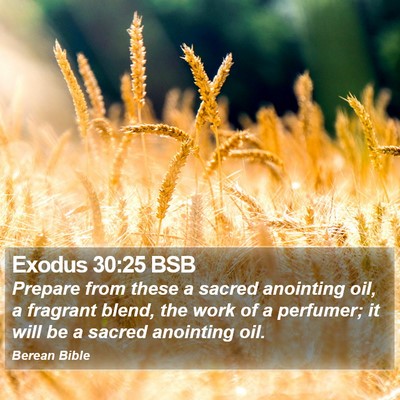 Exodus 30:25 BSB Bible Verse Image