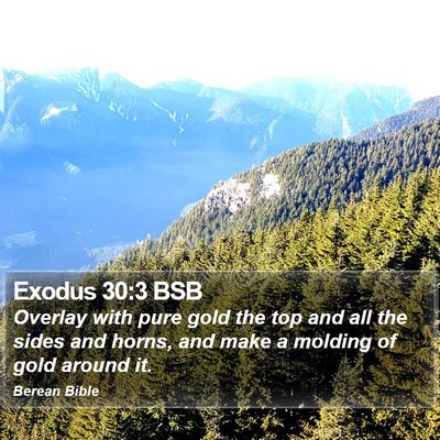 Exodus 30:3 BSB Bible Verse Image
