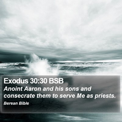 Exodus 30:30 BSB Bible Verse Image