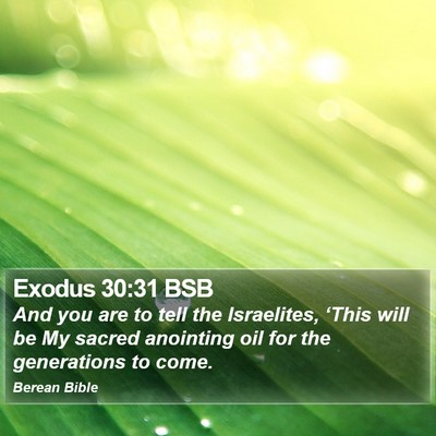 Exodus 30:31 BSB Bible Verse Image