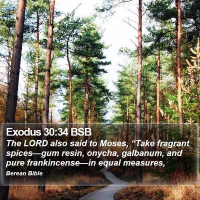 Exodus 30:34 BSB Bible Verse Image